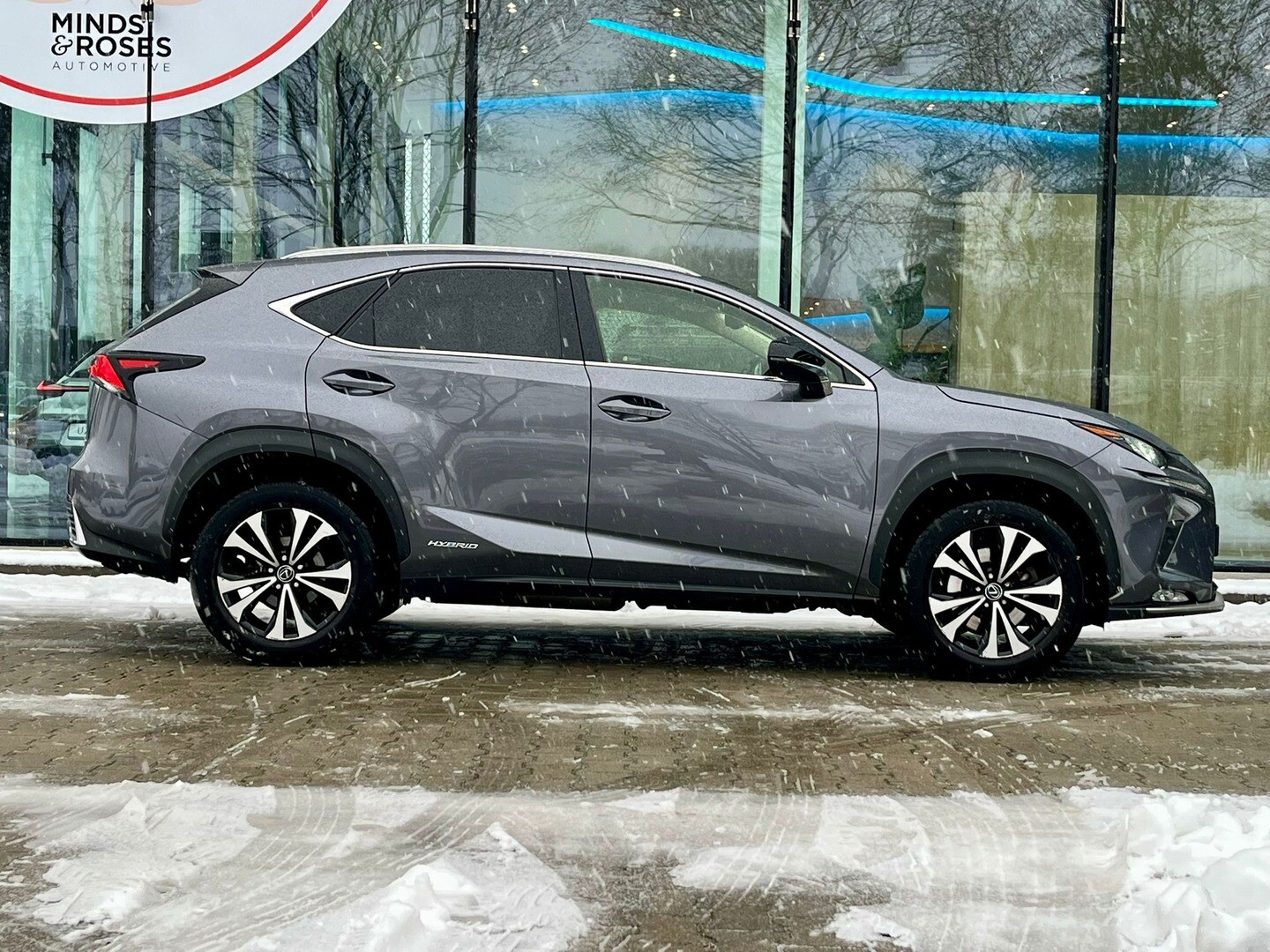 Lexus NX
