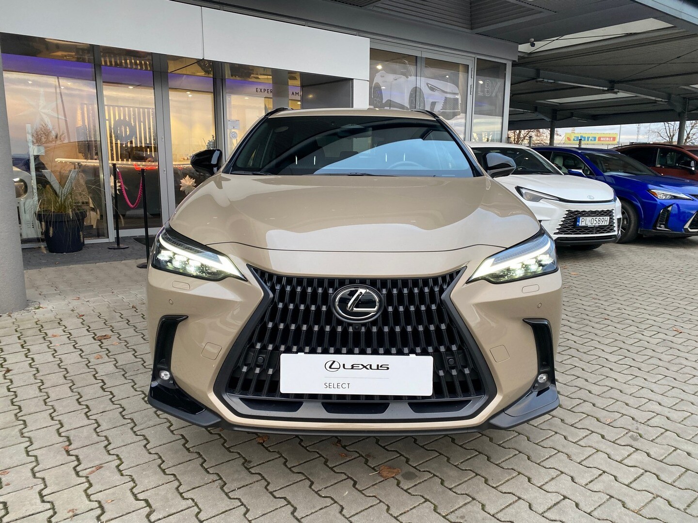 Lexus NX