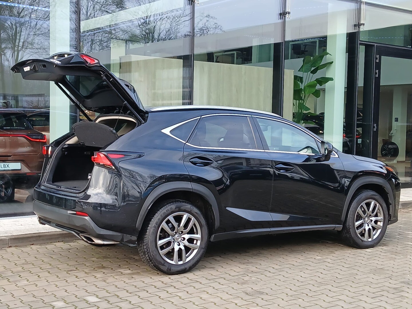 Lexus NX