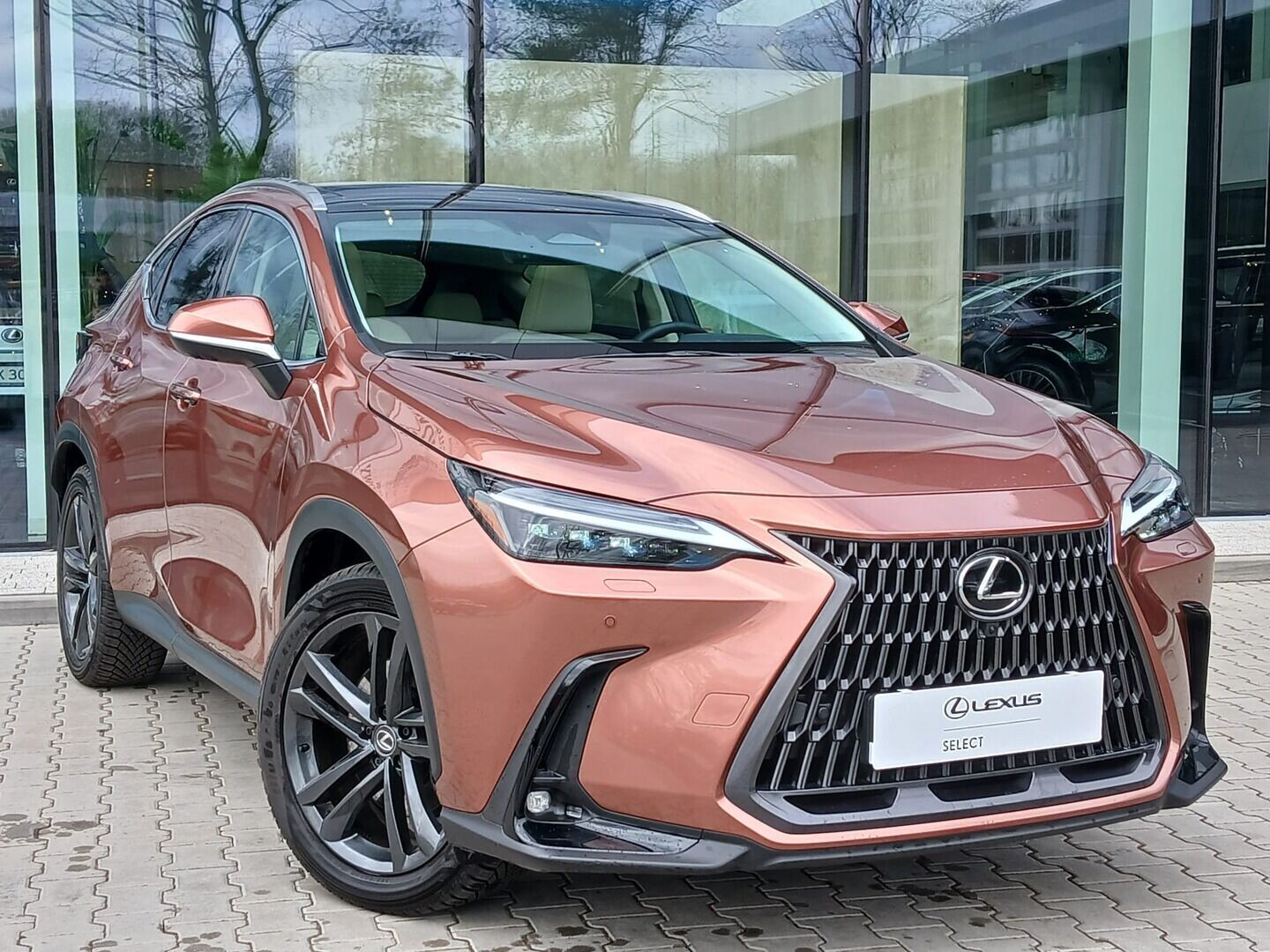 Lexus NX