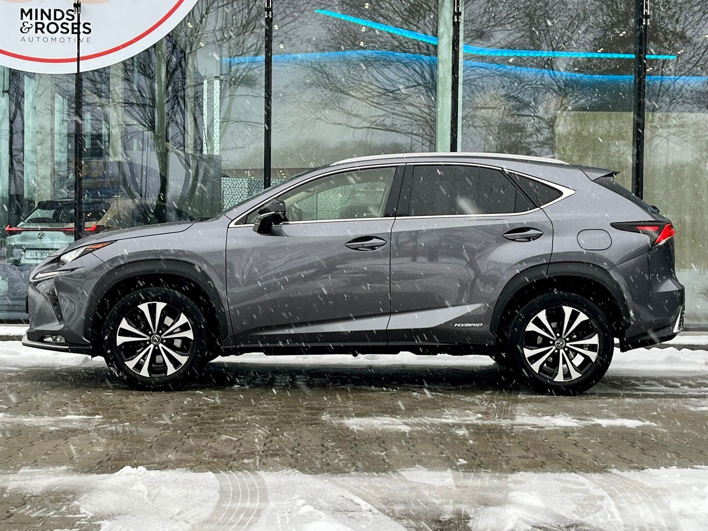 Lexus NX
