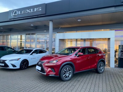 Lexus NX