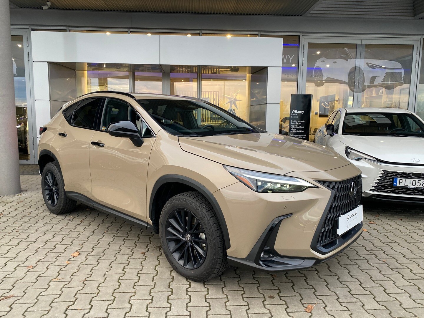 Lexus NX